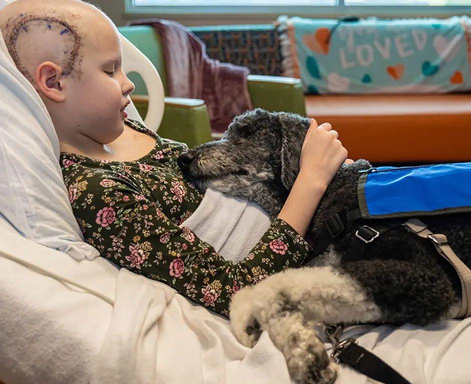 A young child rests in a hospital bed, embracing a service dog beside them. They have a shaved head with medical markings. The room has a colorful blanket with the word loved on a couch in the background.